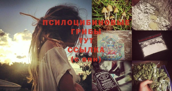 а пвп мука Абаза