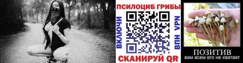 Галлюциногенные грибы Cubensis  Задонск 